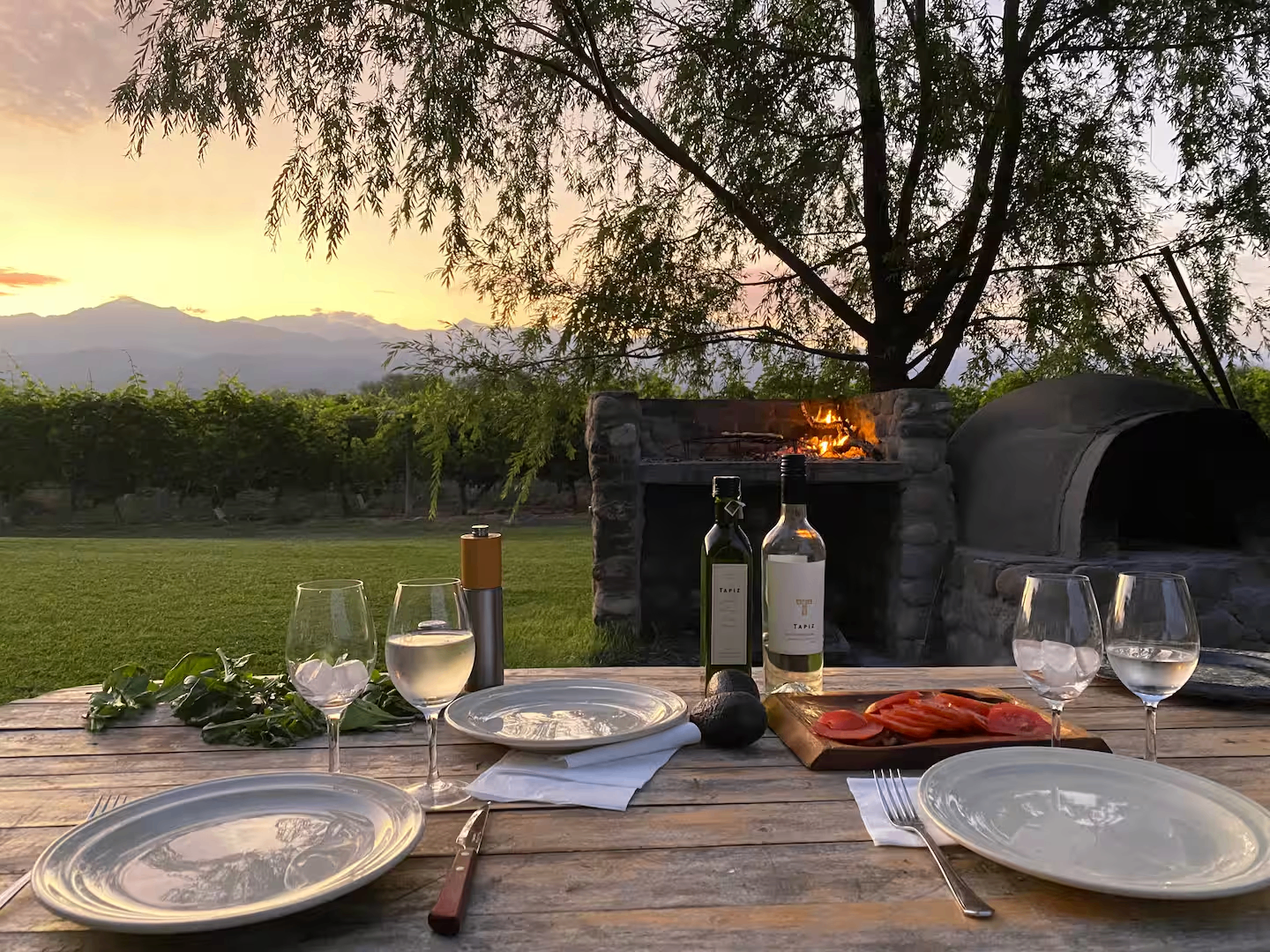Vineyard Setting