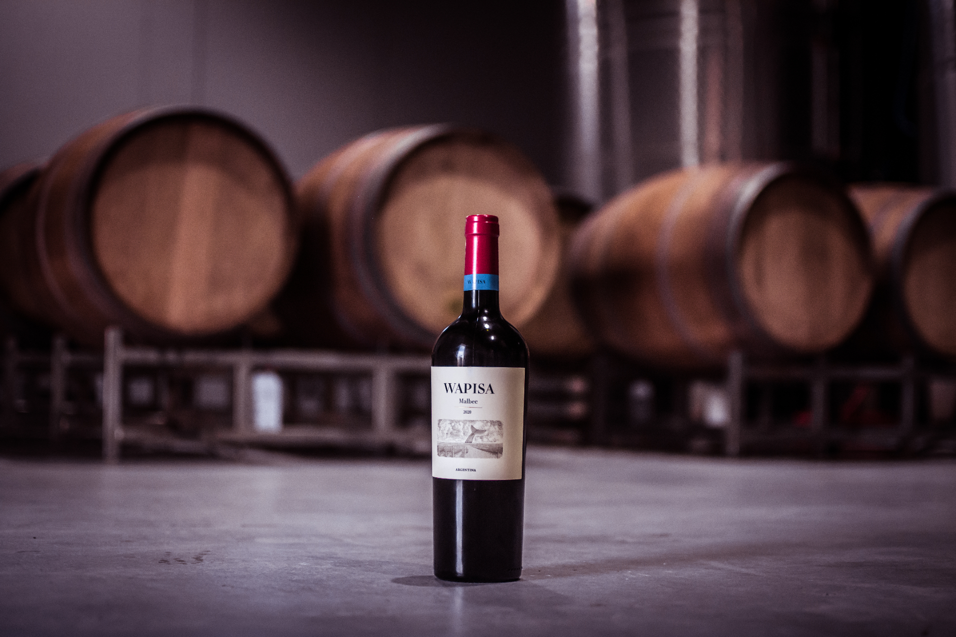 Wapisa wine bottle in cellar
